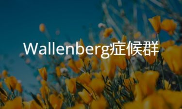 Wallenberg症候群（延髄外側症候群）