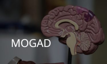 抗MOG抗体関連疾患 MOGAD: