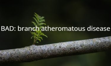 BAD: branch atheromatous disease