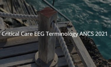 Critical Care EEG  Terminology: ACNS 2021