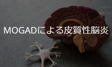 MOGADによる皮質性脳炎