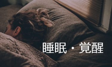 睡眠・覚醒 Sleep/Awake