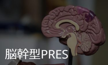 脳幹型PRES/brainstem variant of PRES