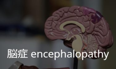 脳症 encephalopathy