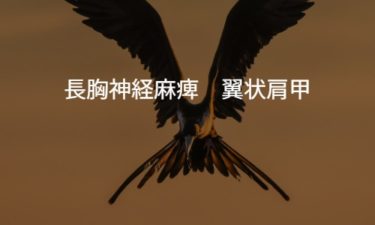 長胸神経麻痺　翼状肩甲