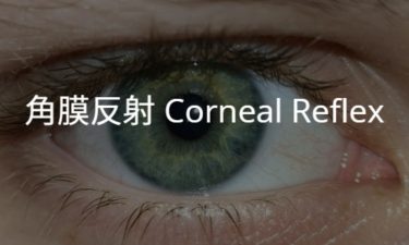 角膜反射 Corneal Reflex
