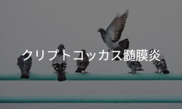 クリプトコッカス髄膜炎