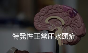 特発性正常圧水頭症 iNPH: idiopathic normal pressure hydrocephalus