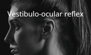 Vestibulo-ocular reflex VOR 前庭動眼反射