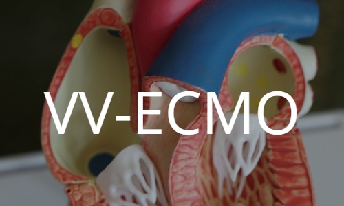 VV-ECMO (veno-venous extracorporeal membrane oxygenation)