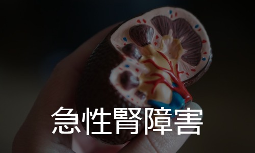急性腎障害 AKI: acute kidney injury