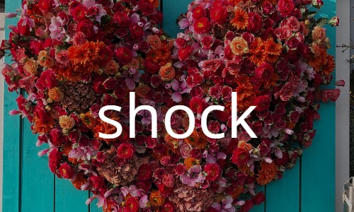 ショック “Shock”